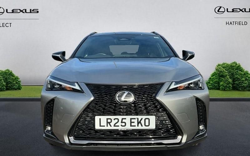 Used Lexus UX 300h Sport Line 199 HP (146 kW) 2026 SUV
