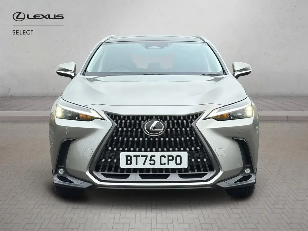 Used Lexus NX450h+ 2025 Silver SUV