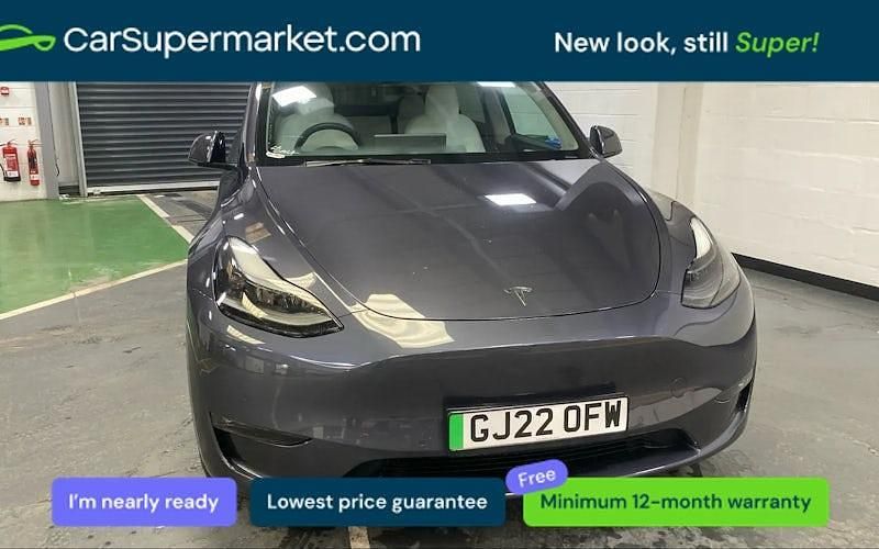 Used Tesla Model Y Long Range AWD 286 kW (389 HP) 2025 SUV