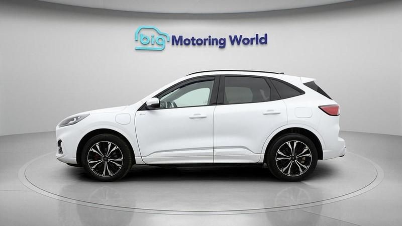 Used Ford Kuga ST-Line X 225 HP (165 kW) 2023 White SUV