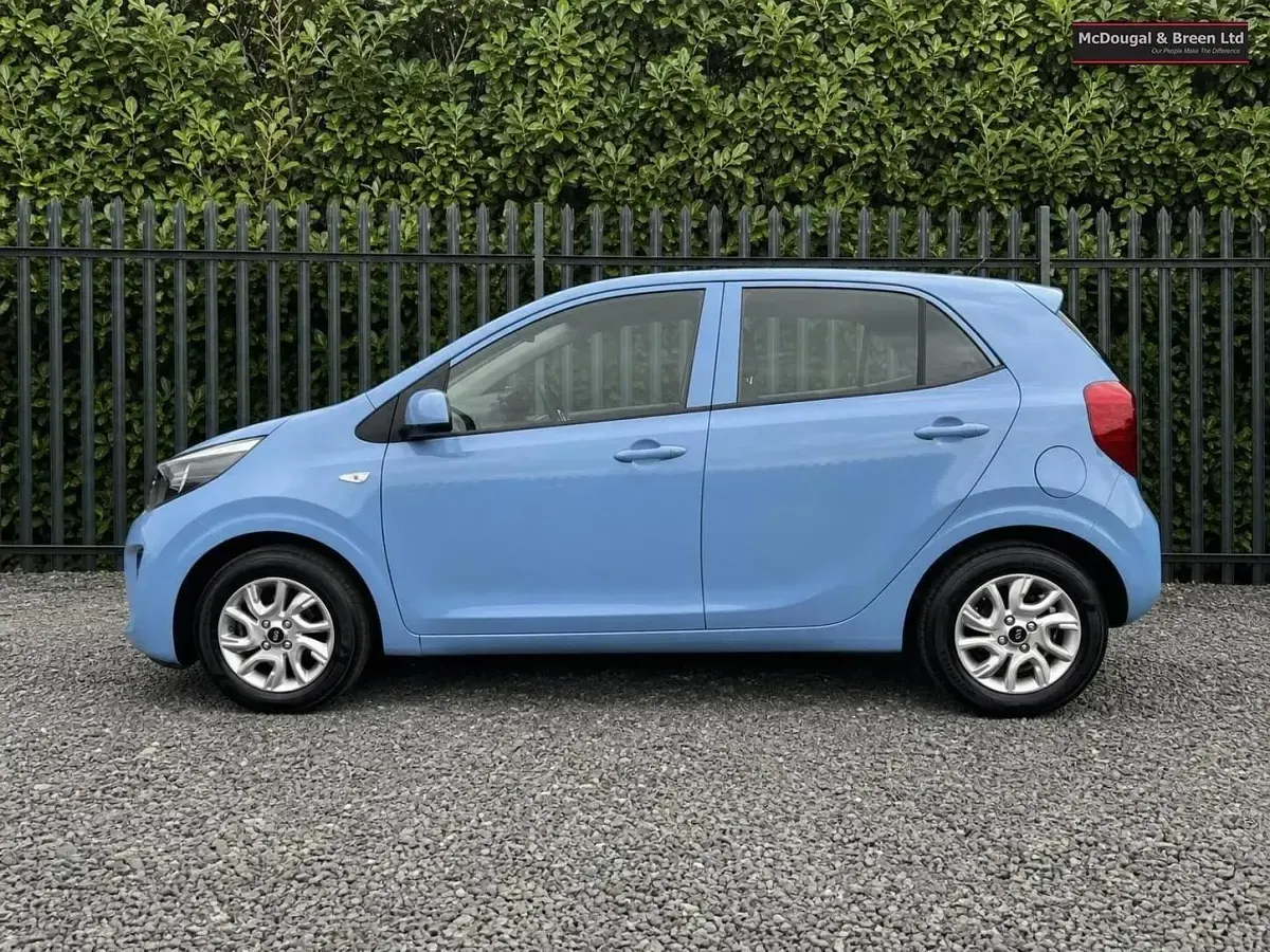 Used Kia Picanto 66 HP (48 kW) 2020 Blue Hatchback