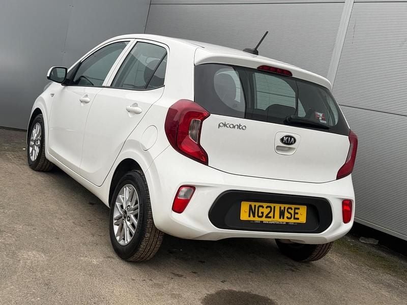 Used Kia Picanto 66 HP (48 kW) 2021 White Hatchback