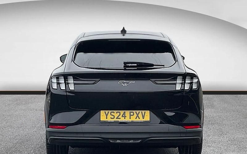 Used Ford Mustang Select 269 HP (197 kW) 2024 Estate