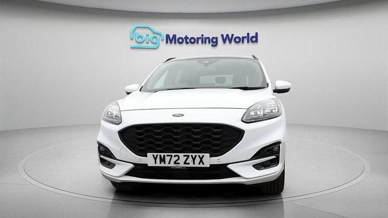 Used Ford Kuga ST-Line X 225 HP (165 kW) 2023 White SUV