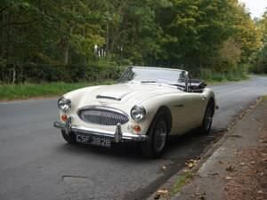 Used Austin Healey 3000 MK III 148 HP (108 kW) 1964 Others Cabriolet
