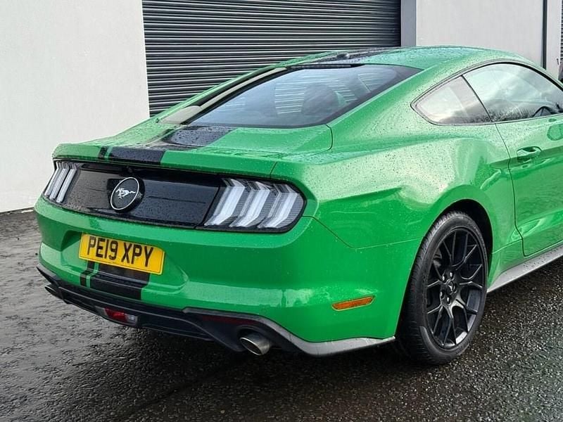 Used Ford Mustang Fastback 290 HP (213 kW) 2019 Green Coupe