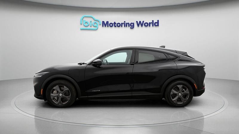 Used Ford Mustang Mach-E Standard Range 194 kW (265 HP) 2024 SUV