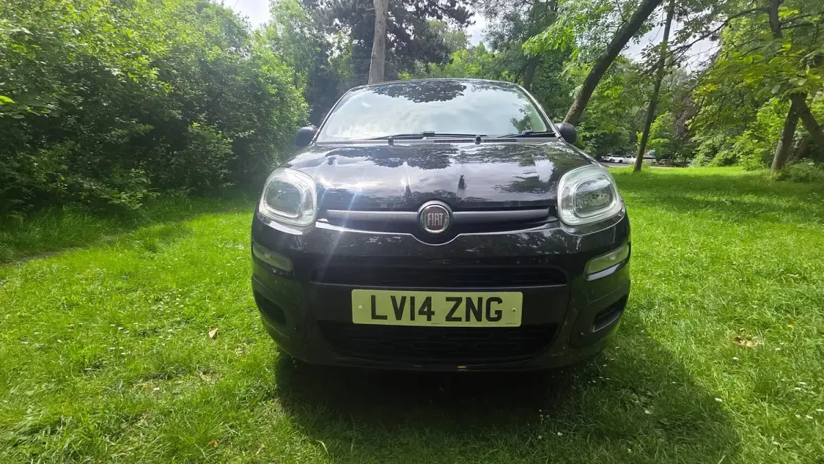 Used Fiat Panda Pop 69 HP (50 kW) 2014 Black Hatchback