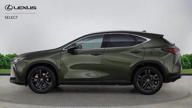Used Lexus NX450h+ 2024 Green SUV