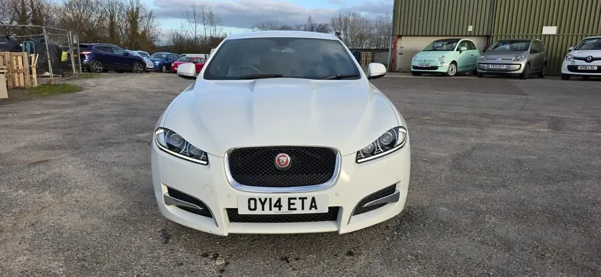 Used Jaguar XF R-Sport 163 HP (119 kW) 2014 White Sedan