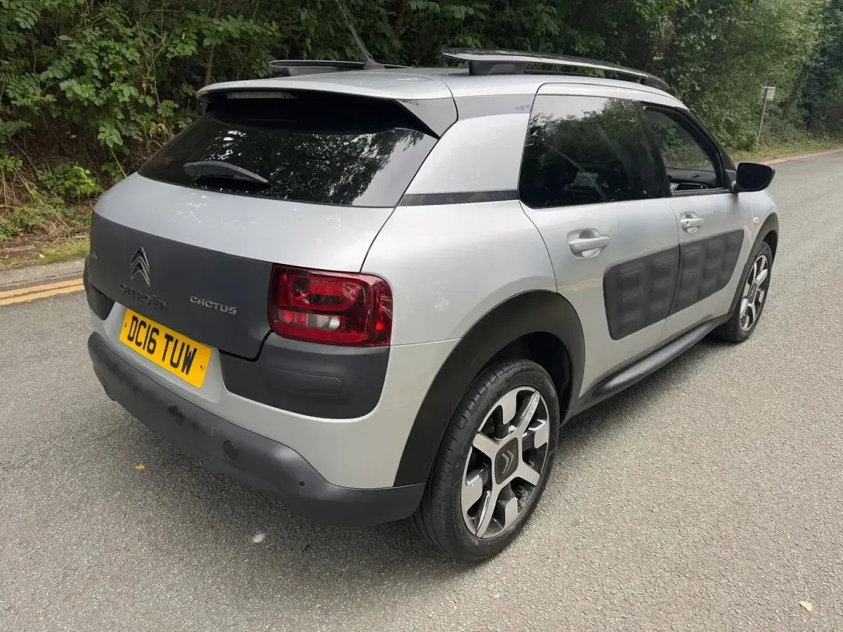 Used Citroën C4 Cactus Flair 100 HP (73 kW) 2016 Silver Hatchback