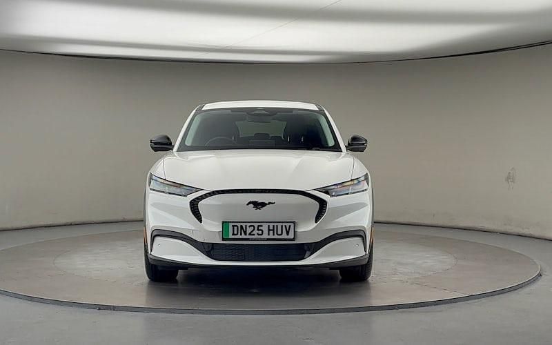 Used Ford Mustang Select 268 HP (197 kW) 2024 Estate