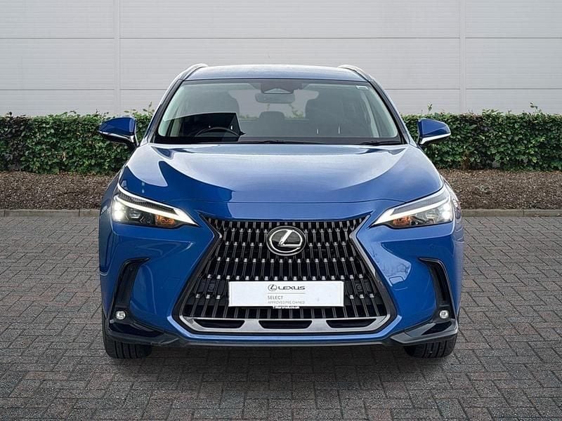 Used Lexus NX450h+ 2023 Blue SUV