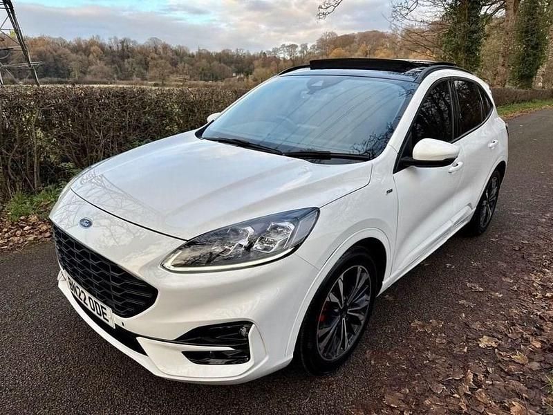 Used Ford Kuga ST-Line X 120 HP (88 kW) 2022 White SUV