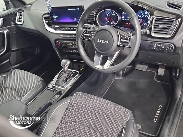 Used Kia Ceed 138 HP (101 kW) 2025 Grey Hatchback