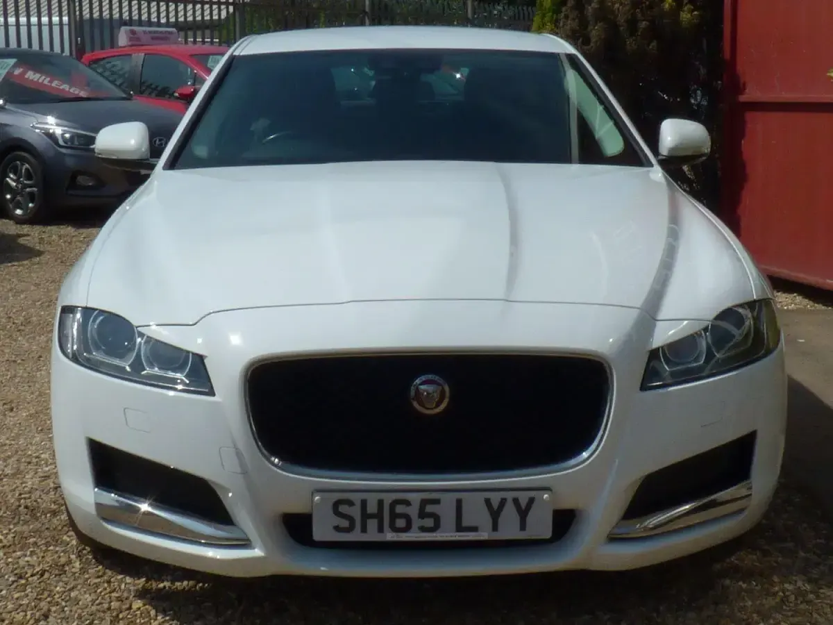 Used Jaguar XF Prestige 2015 White Sedan