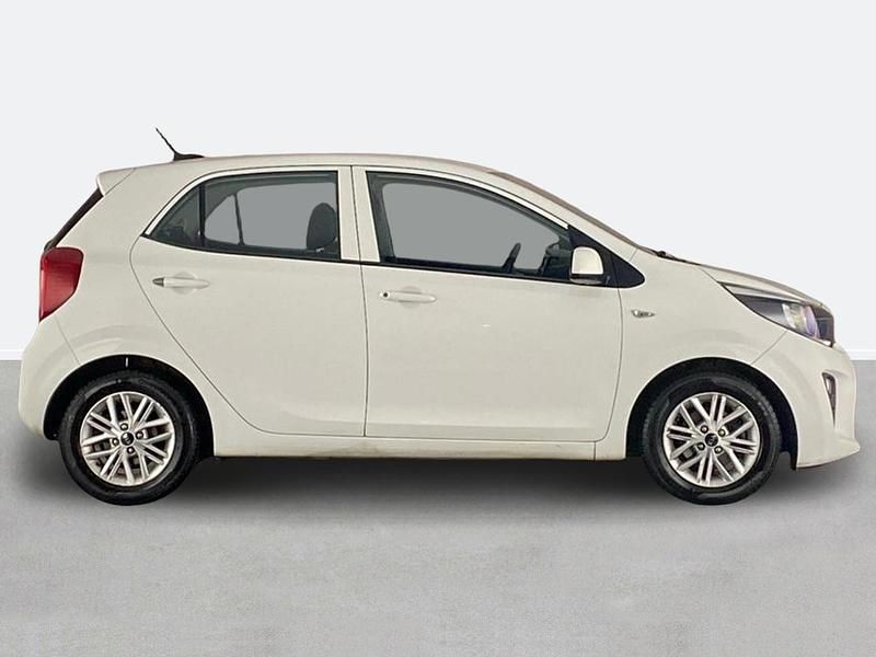 Used Kia Picanto 66 HP (48 kW) 2020 White Hatchback