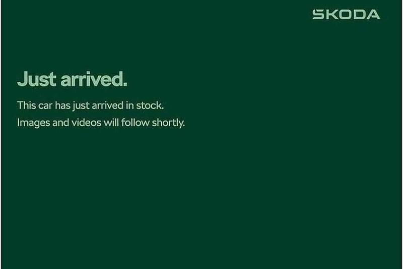 Used Skoda 110 R SE 81 HP (59 kW) 2023 Moon white metallic Estate