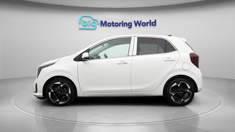 Used Kia Picanto 62 HP (45 kW) 2025 White Hatchback