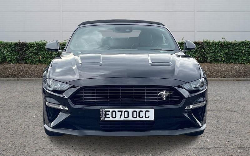 Used Ford Mustang Convertible 310 HP (228 kW) 2019 Black Cabriolet