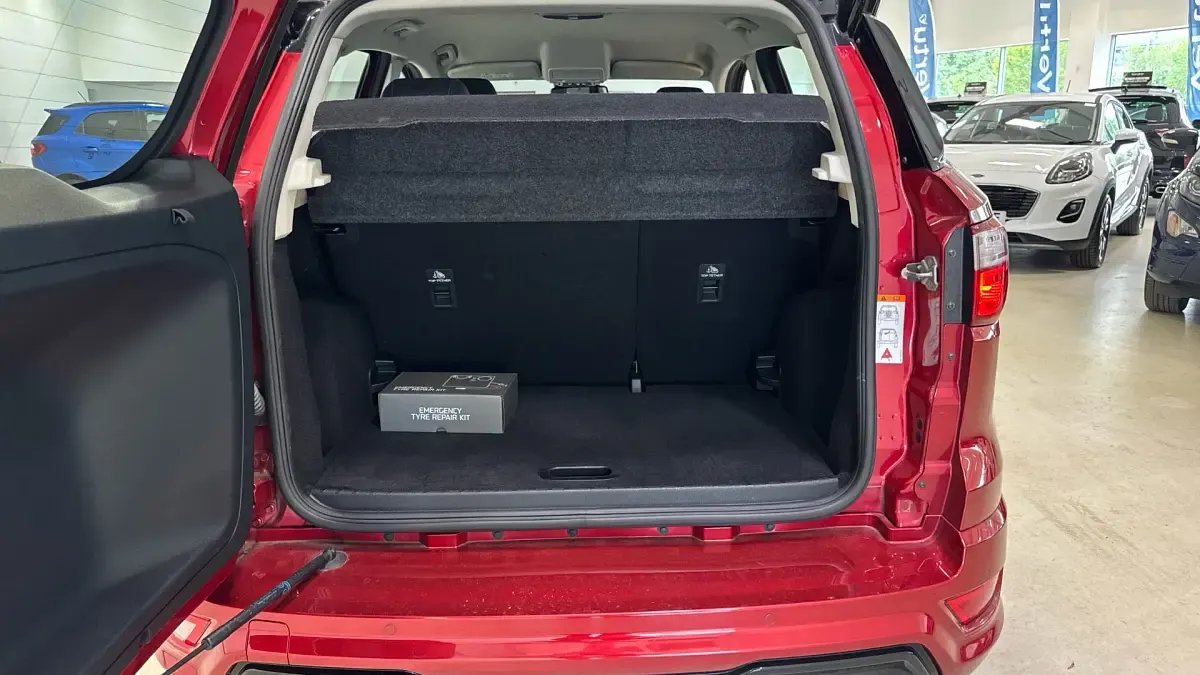 Used Ford Ecosport ST-Line 125 HP (91 kW) 2020 Red SUV