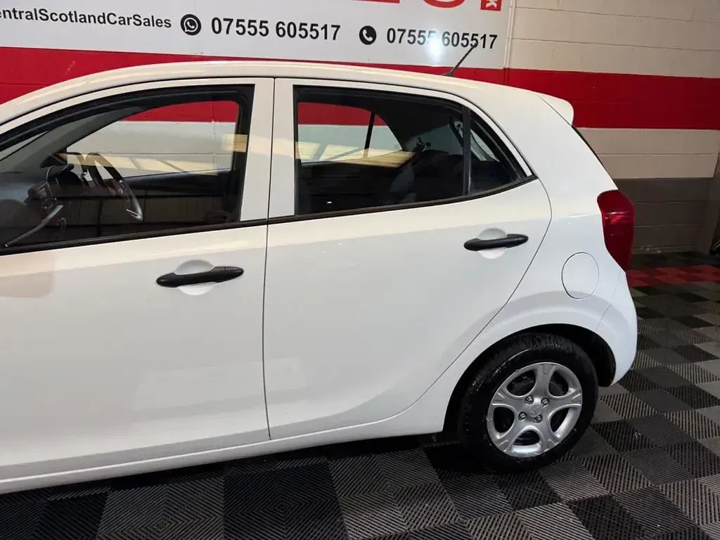 Used Kia Picanto 66 HP (48 kW) 2019 White Hatchback