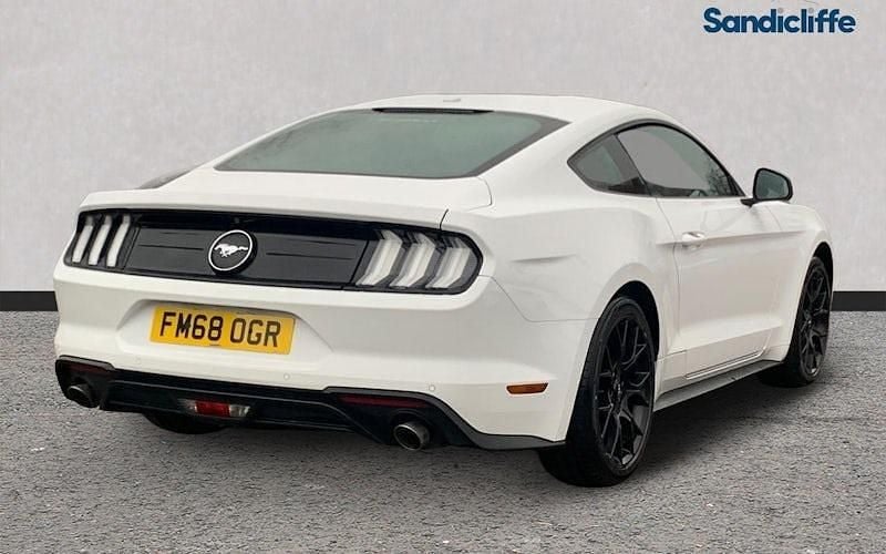 Used Ford Mustang Fastback 290 HP (213 kW) 2019 White Coupe