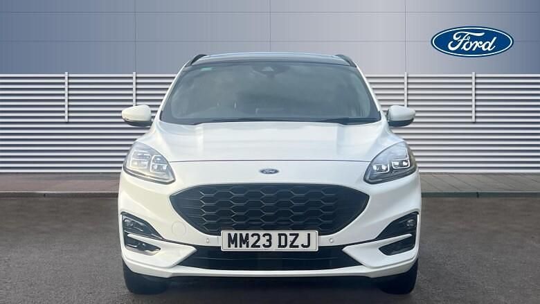 Used Ford Kuga ST-Line X 243 HP (178 kW) 2023 White SUV