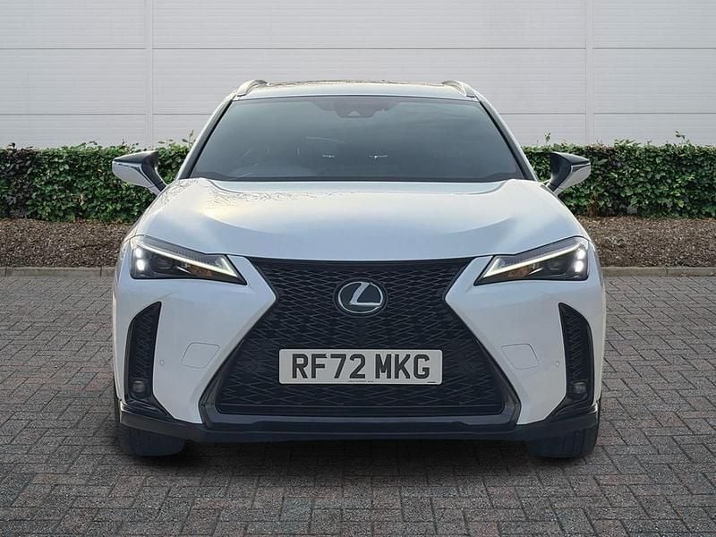 Used Lexus UX 250h Sport Line 2023 White SUV