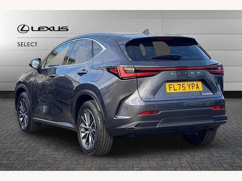 Used Lexus NX350h 245 HP (180 kW) 2025 Grey SUV