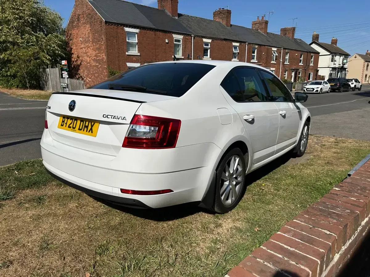 Used Skoda Octavia SE L 150 HP (110 kW) 2020 White Hatchback