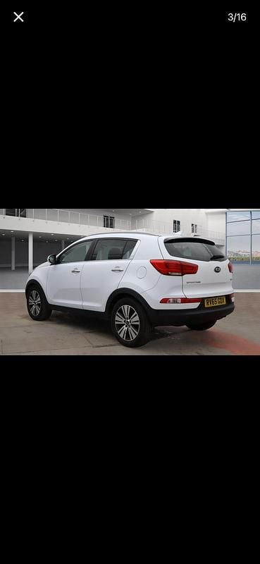 Used Kia Sportage 2015 White SUV