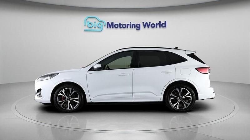 Used Ford Kuga ST-Line X 150 HP (110 kW) 2023 White SUV