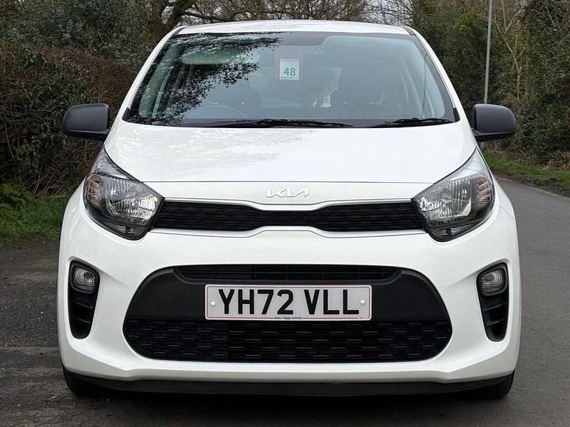 Used Kia Picanto 66 HP (48 kW) 2023 White Hatchback
