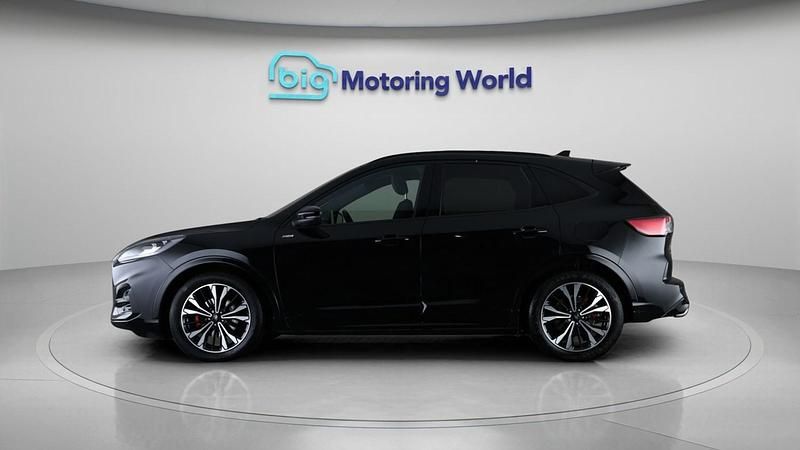 Used Ford Kuga ST-Line X 150 HP (110 kW) 2023 Black SUV