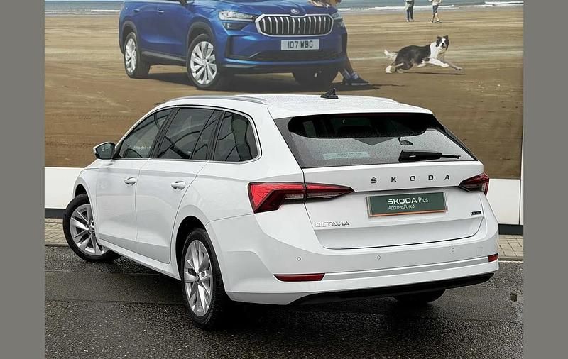 Used Skoda Octavia SE L 150 HP (110 kW) 2023 Moon white metallic Estate