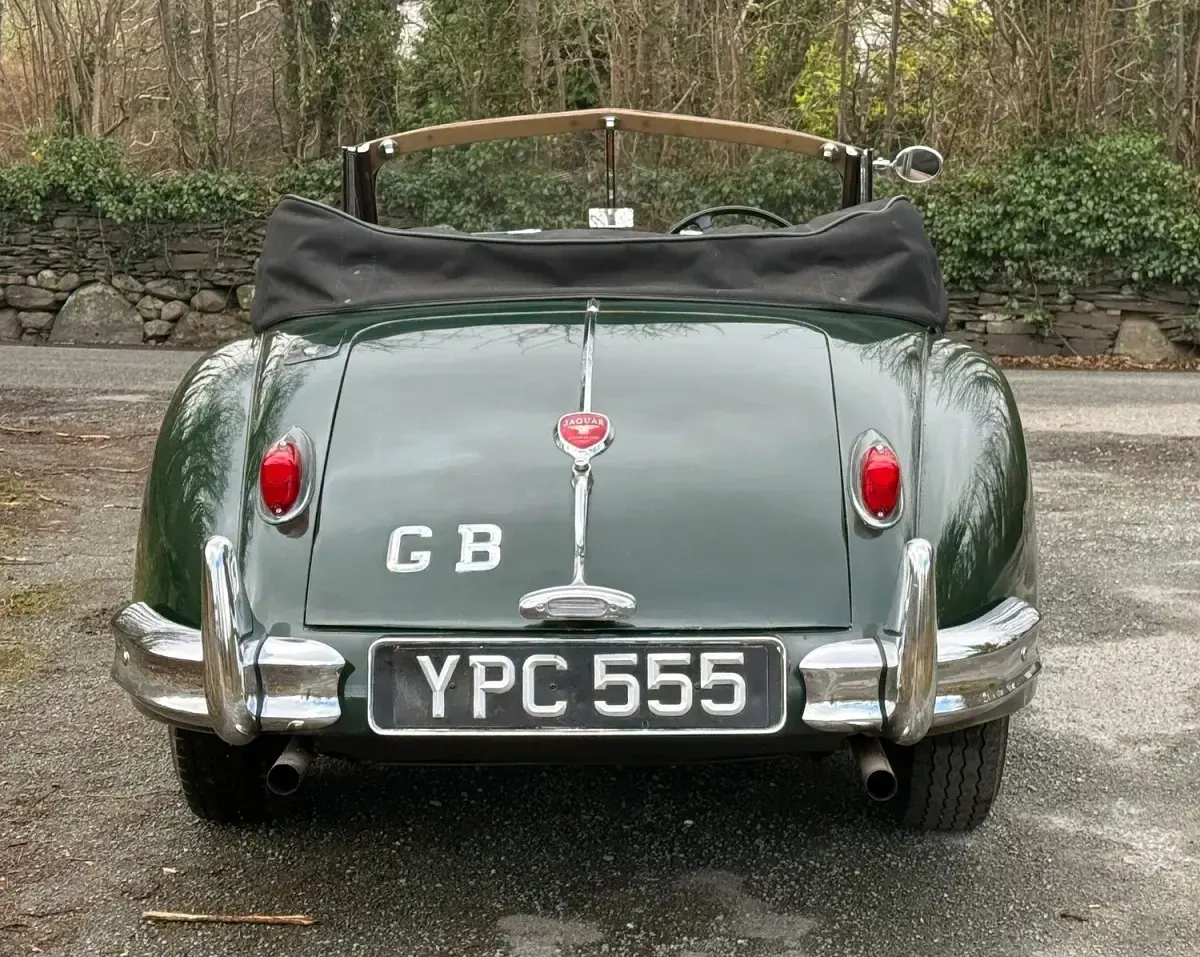 Used Jaguar XK 1955 Green Coupe