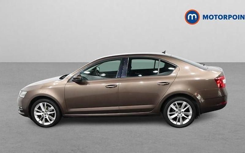 Used Skoda Octavia SE L 150 HP (110 kW) 2019 Brown Hatchback