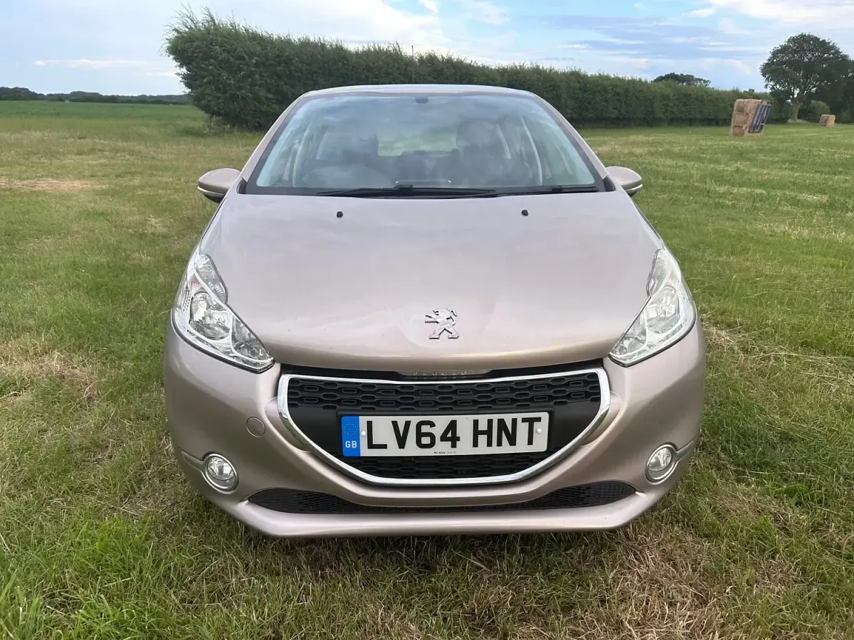 Used Peugeot 208 Active 68 HP (50 kW) 2014 Pink Hatchback