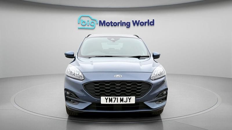 Used Ford Kuga ST-Line X 222 HP (163 kW) 2022 SUV