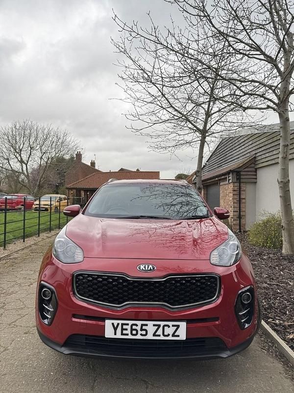 Used Kia Sportage 2016 Red SUV