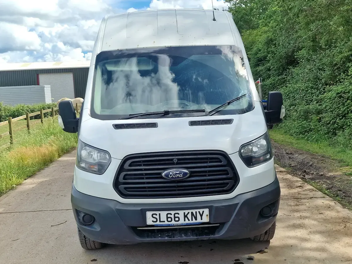 Used Ford Transit 105 HP (77 kW) 2016 White Van