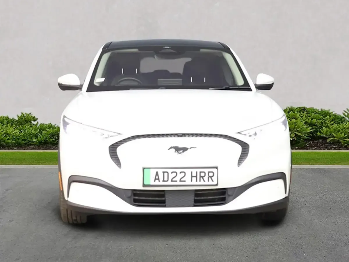 Used Ford Mustang Standard Range 269 HP (197 kW) 2022 White Hatchback