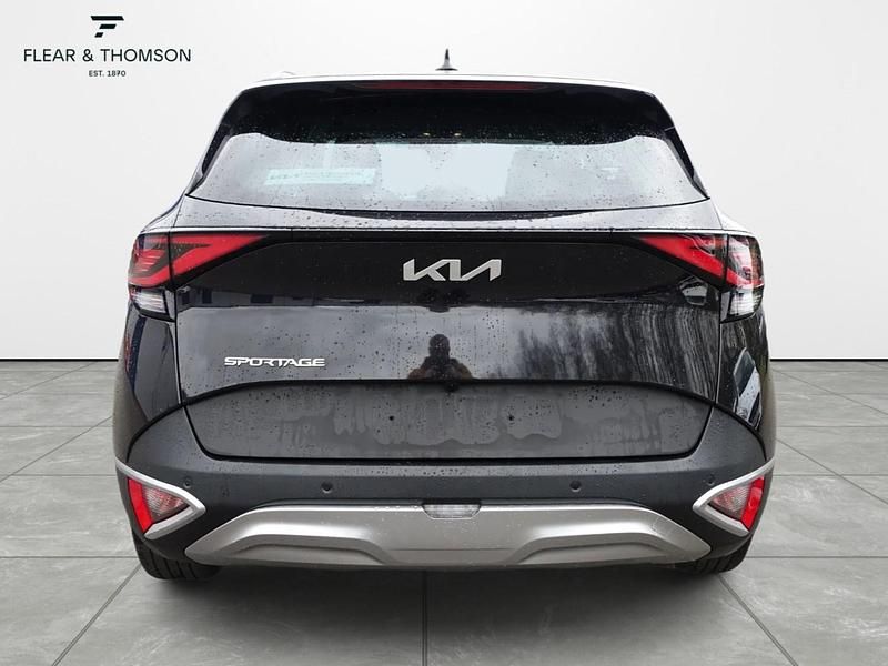 Used Kia Sportage 180 HP (132 kW) 2024 Black SUV