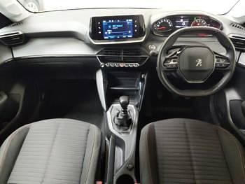 Used Peugeot 208 Active+ 100 HP (73 kW) 2023 Yellow Hatchback