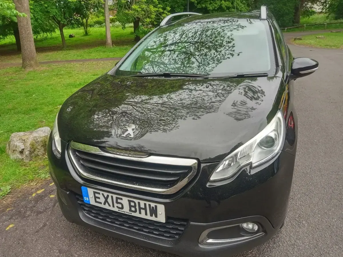 Usado Peugeot 2008 Active 2015 Preto SUV