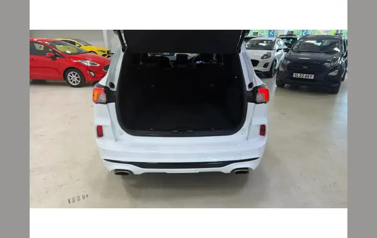 Used Ford Kuga ST-Line 221 HP (162 kW) 2024 White SUV