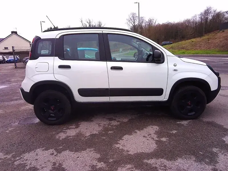 Used Fiat Panda 4x4 90 HP (66 kW) 2020 White Hatchback