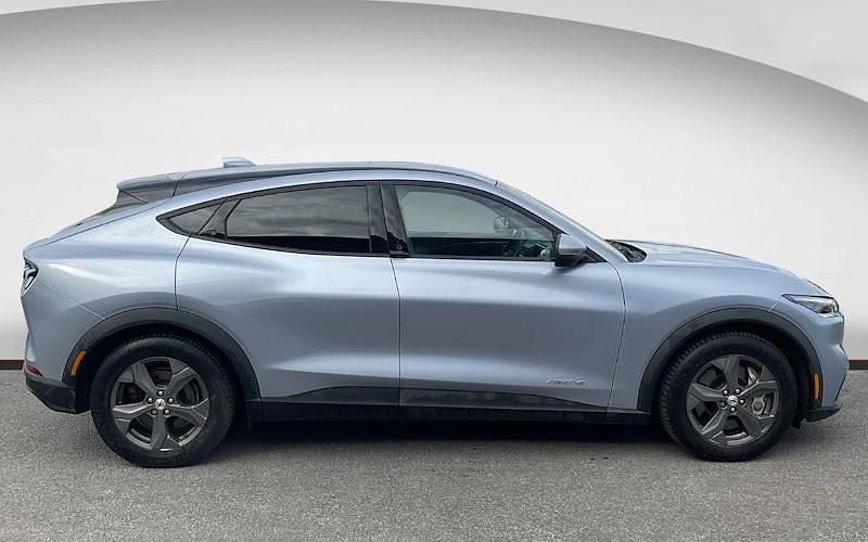 Used Ford Mustang Standard Range 269 HP (197 kW) 2021 Estate