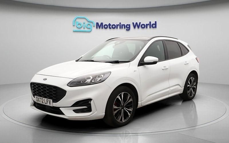 Used Ford Kuga ST-Line X 150 HP (110 kW) 2022 White SUV